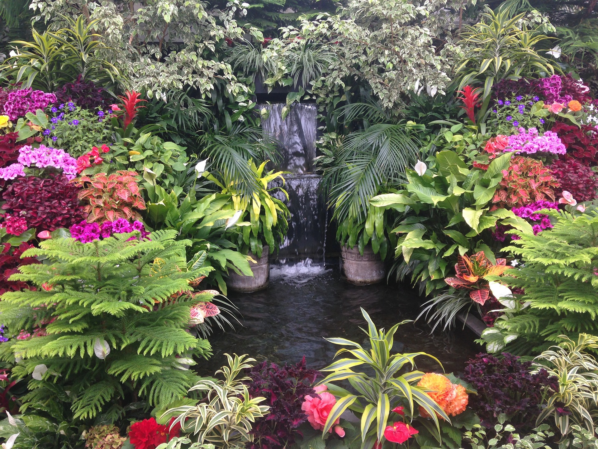 Faire son jardin d'eau à la maison