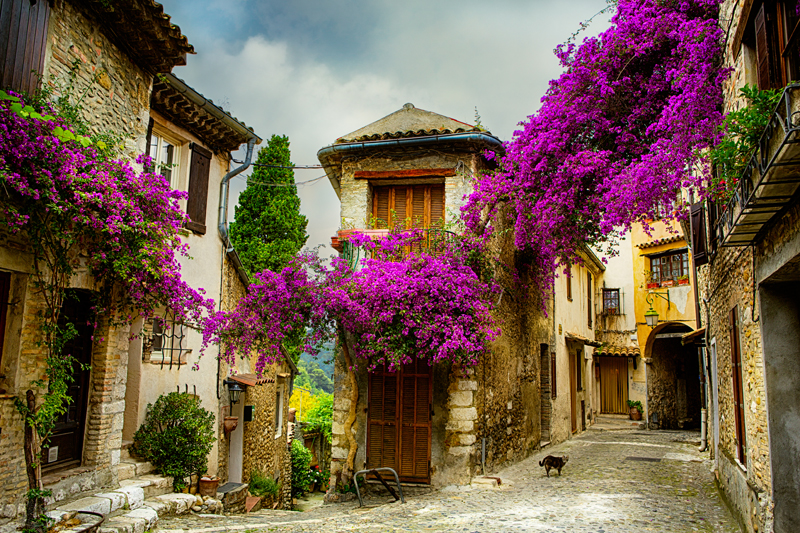 Immobilier en Algérie